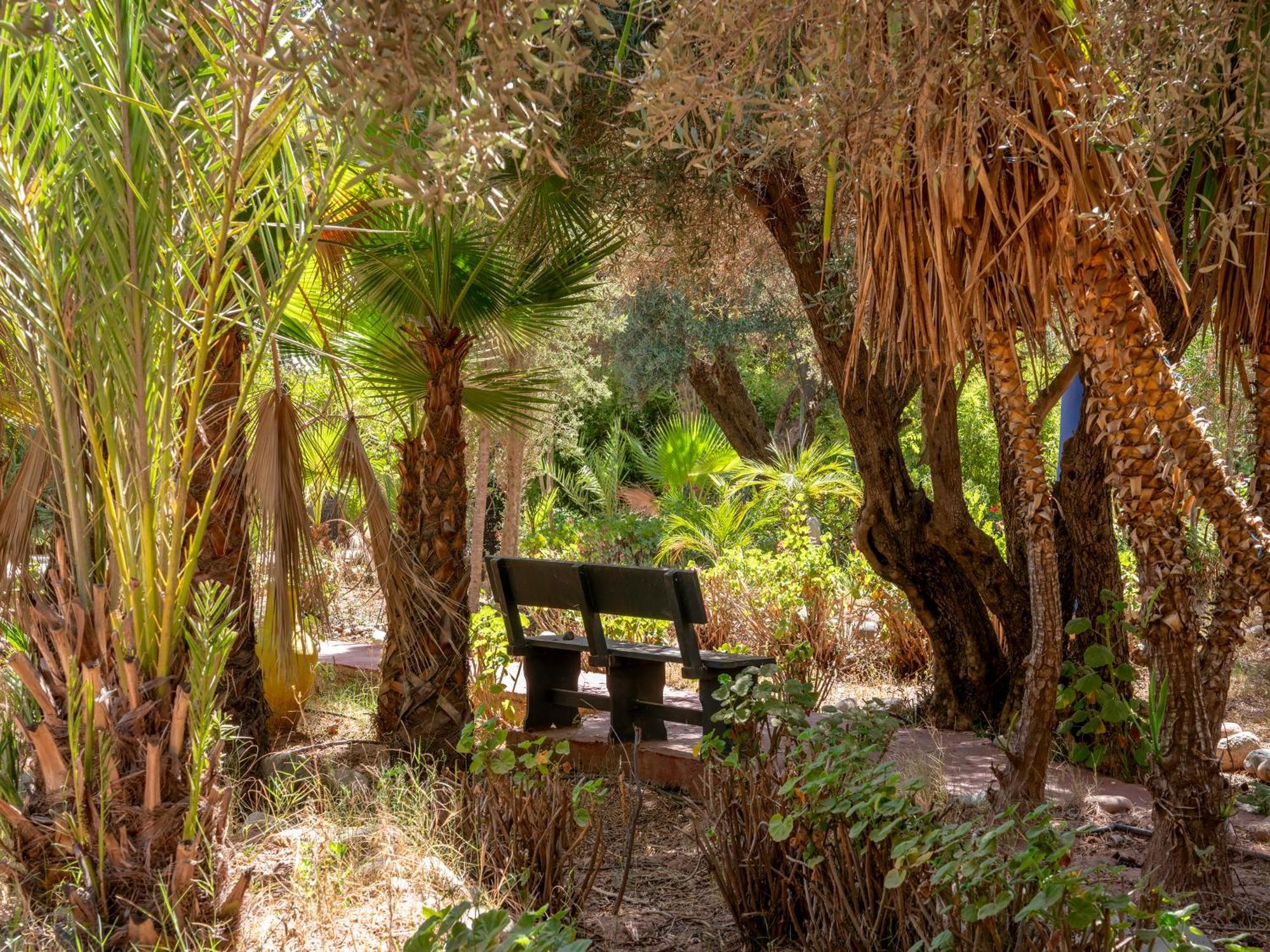 Riad Cle De Sol El Jem'a Ghemat Eksteriør billede